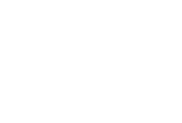 Lwenta Logo